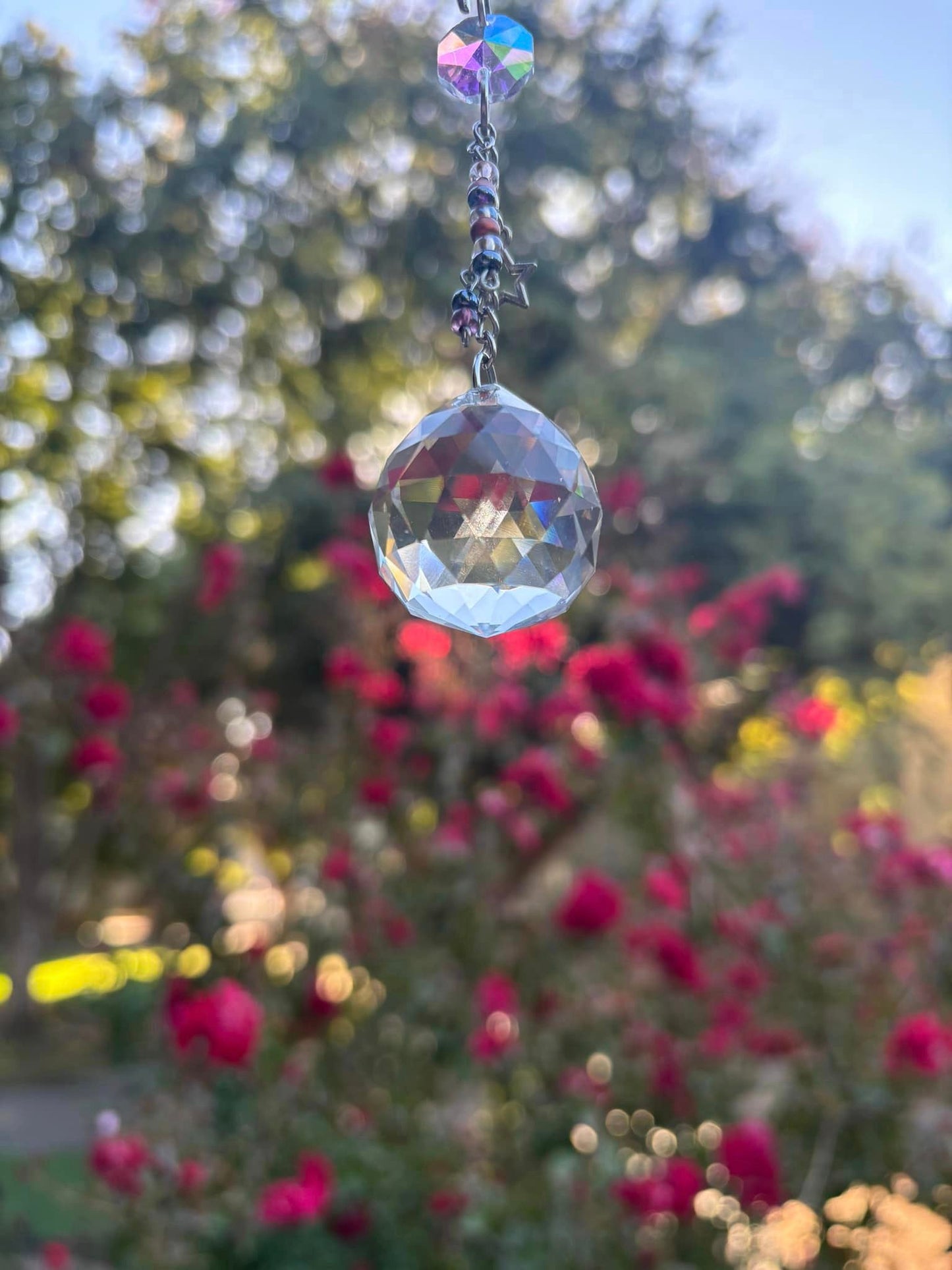 Raven Sun Catcher